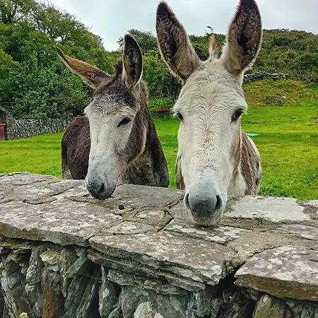 The Hideaway Tragumna A Hidden Gem By The Sea With Outdoor Sauna *