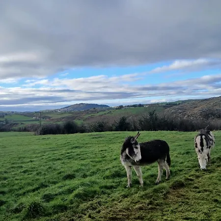 The Hideaway Tragumna A Hidden Gem By The Sea With Outdoor Sauna Apartment Drishanebeg