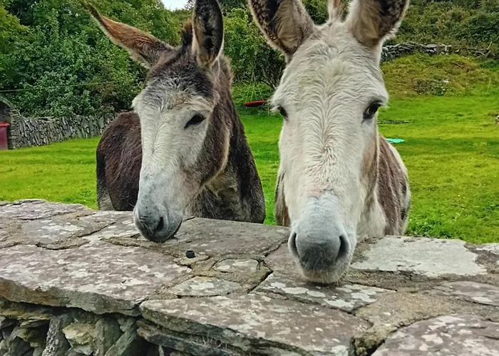 The Hideaway Tragumna A Hidden Gem By The Sea With Outdoor Sauna *