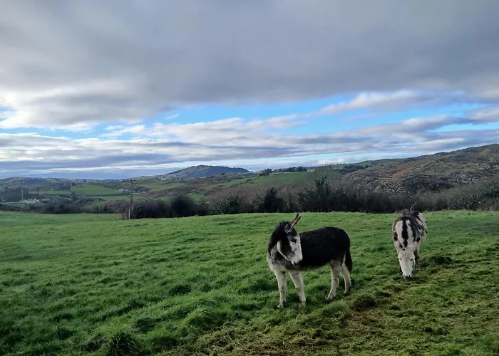 The Hideaway Tragumna A Hidden Gem By The Sea With Outdoor Sauna Appartement Drishanebeg